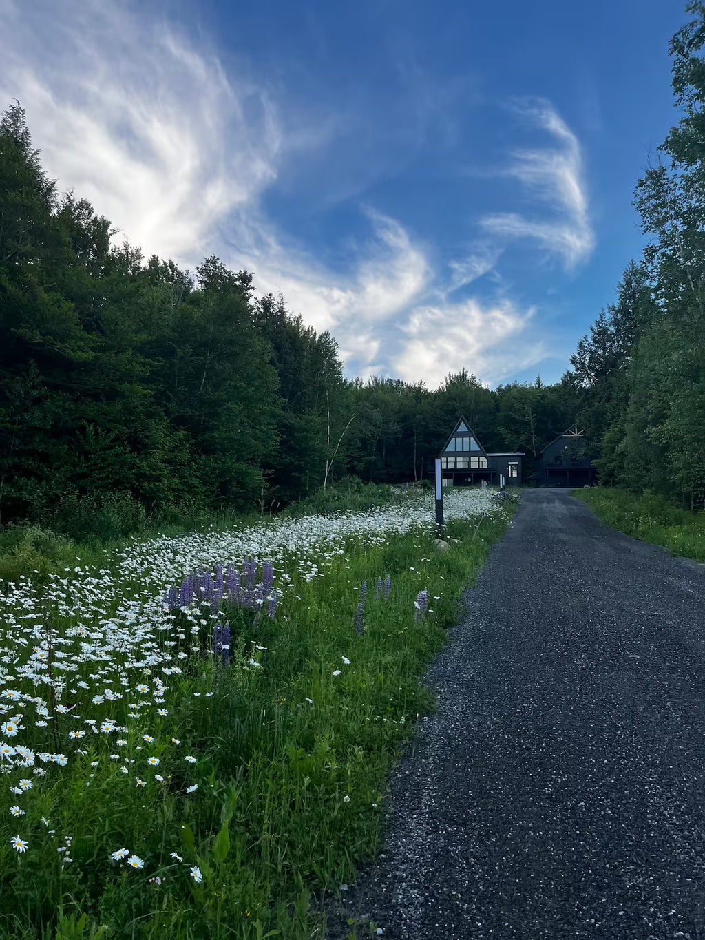 The 7-Acre Ridge Retreat
