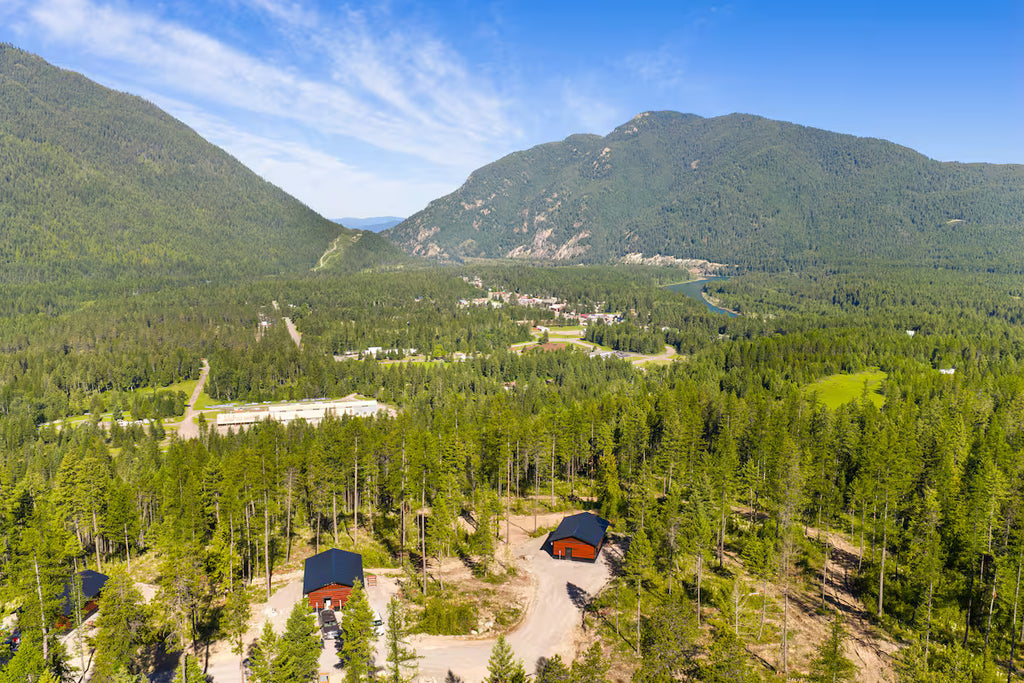 The Bear View Luxury Cabin