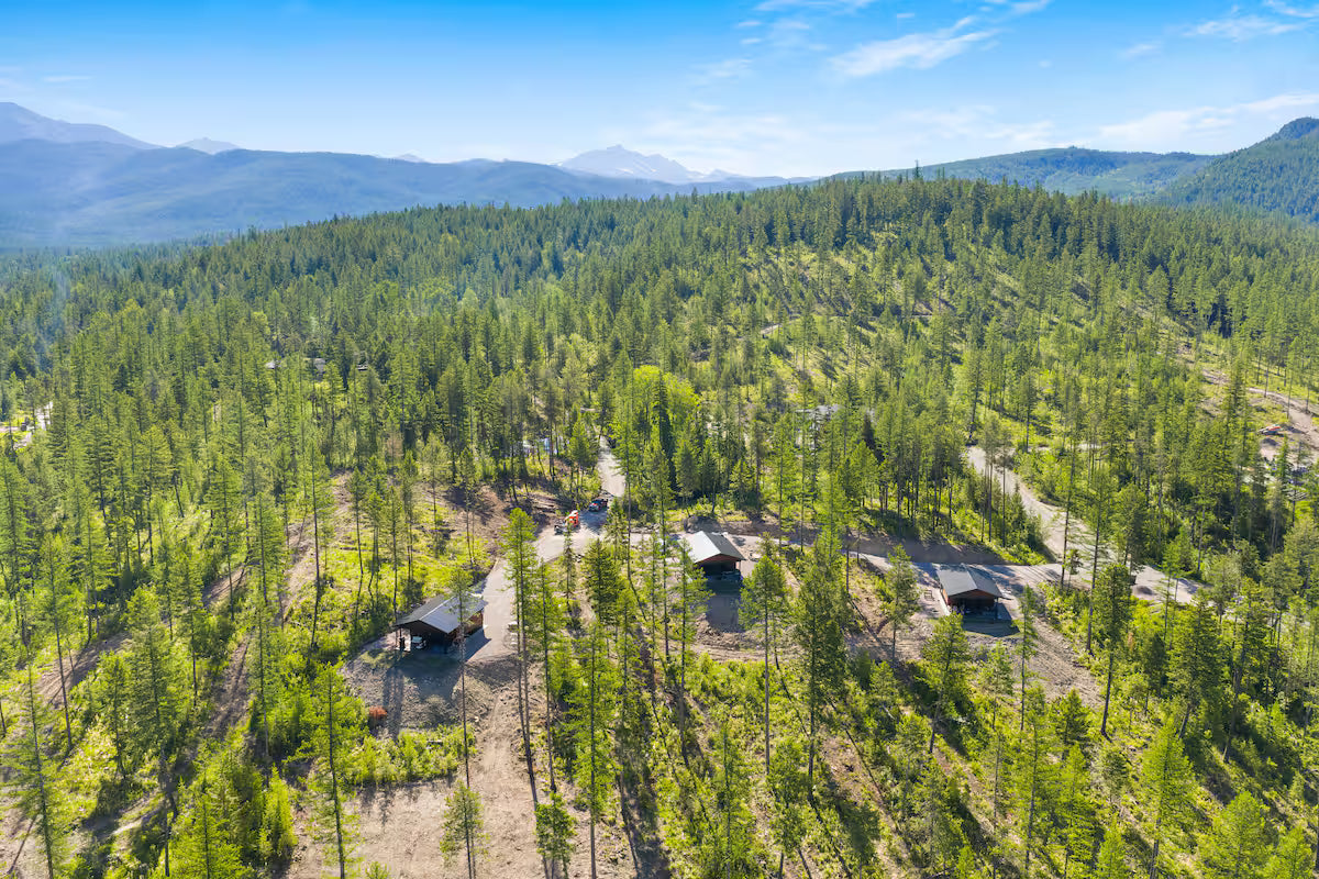 The Bear View Luxury Cabin