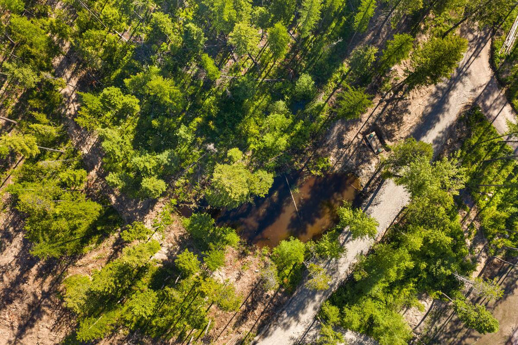 The Bear View Luxury Cabin