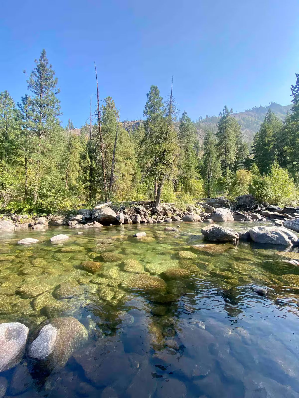 The Icicle Creek Tiny Vista