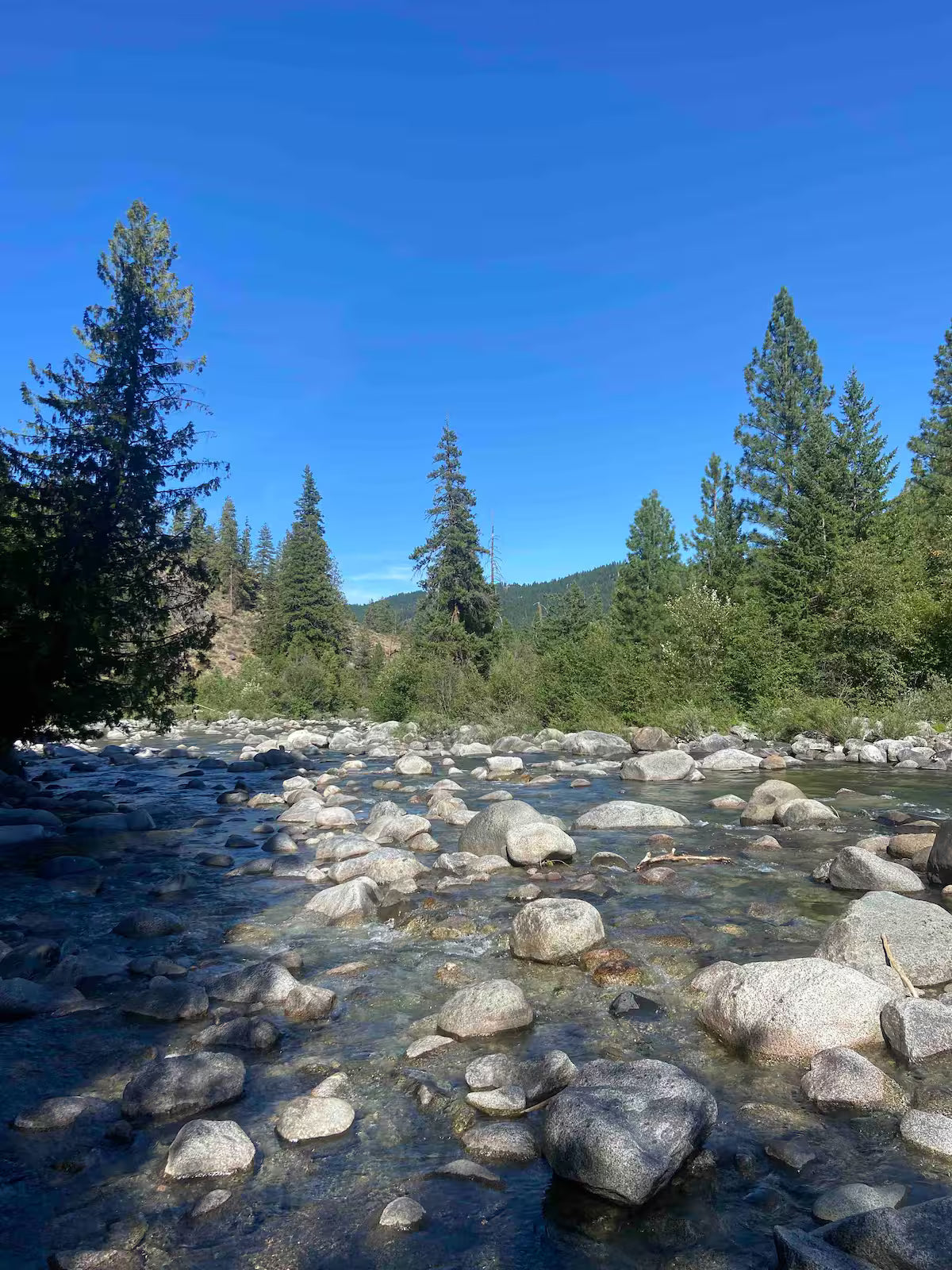 The Icicle Creek Tiny Vista