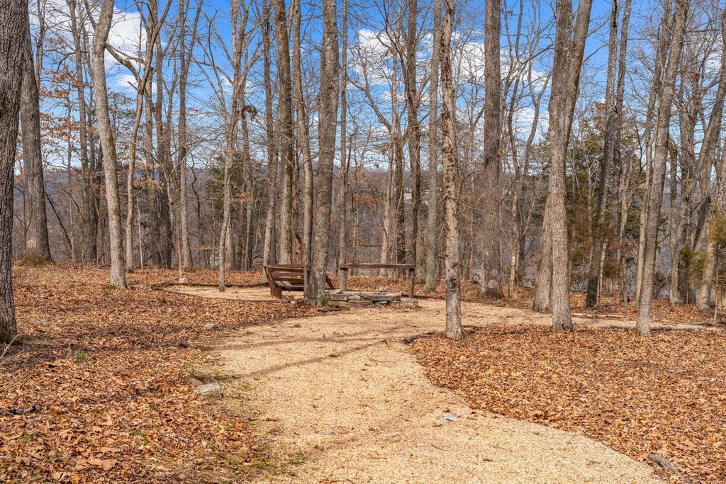 Taneycomo Lakefront Retreat w/ Private Theater & Perks
