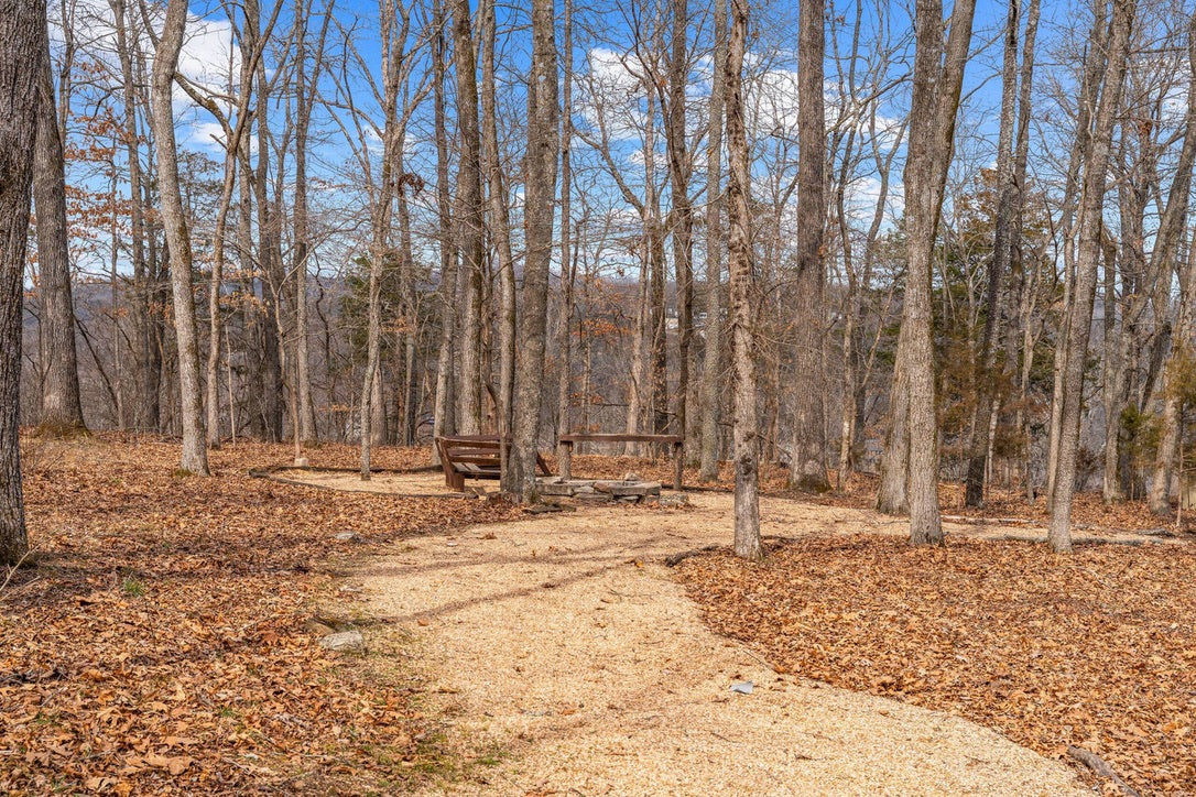 Taneycomo Lakefront Retreat w/ Private Theater & Perks
