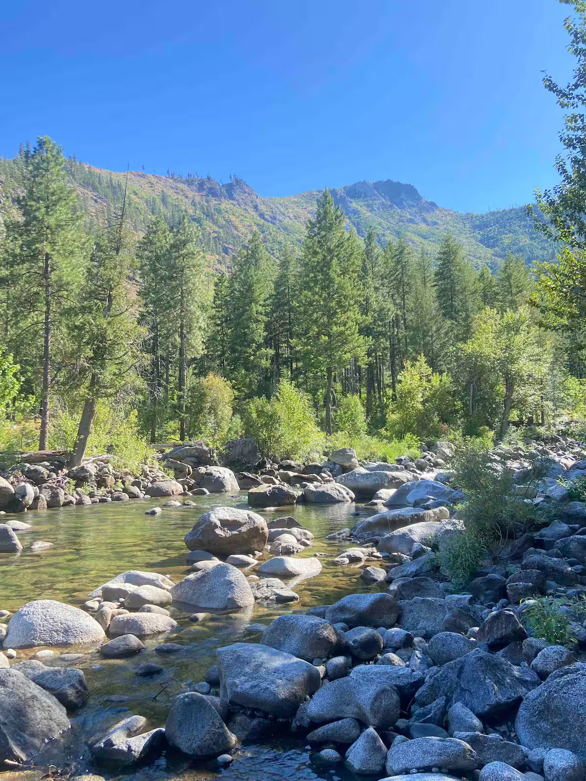 The Icicle Creek Tiny Vista