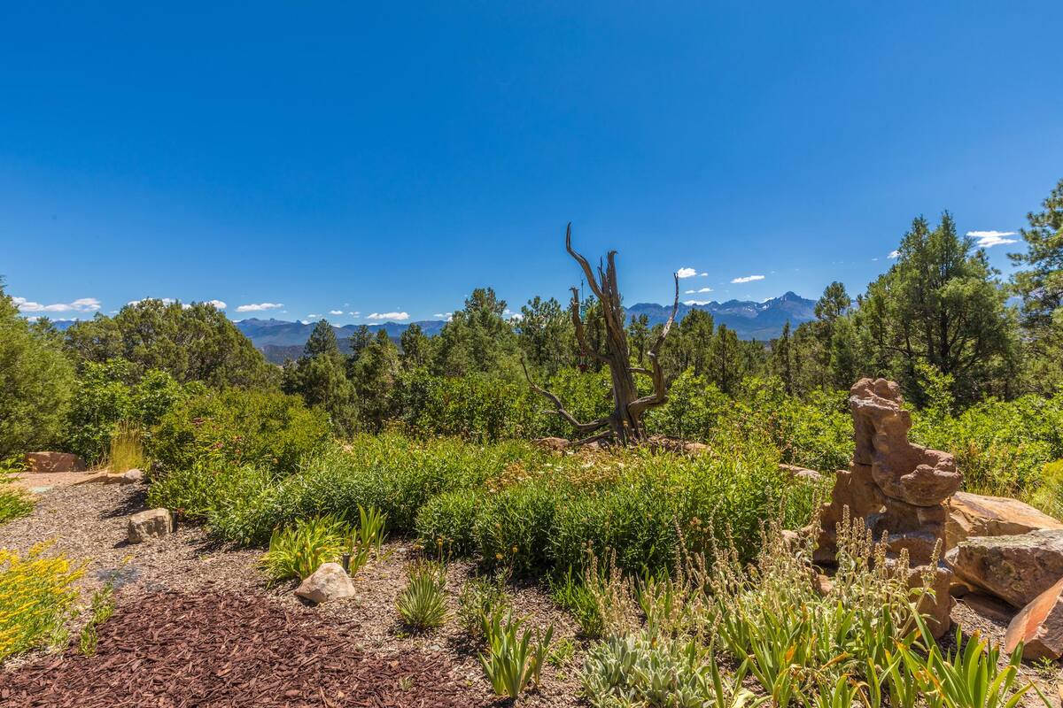 The Sneffels Peak Crest Cabin