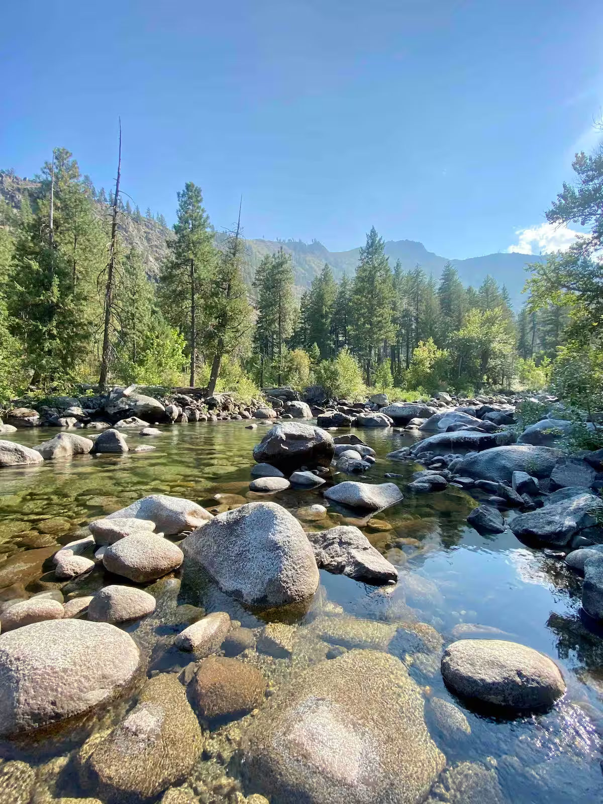 The Icicle Creek Tiny Vista