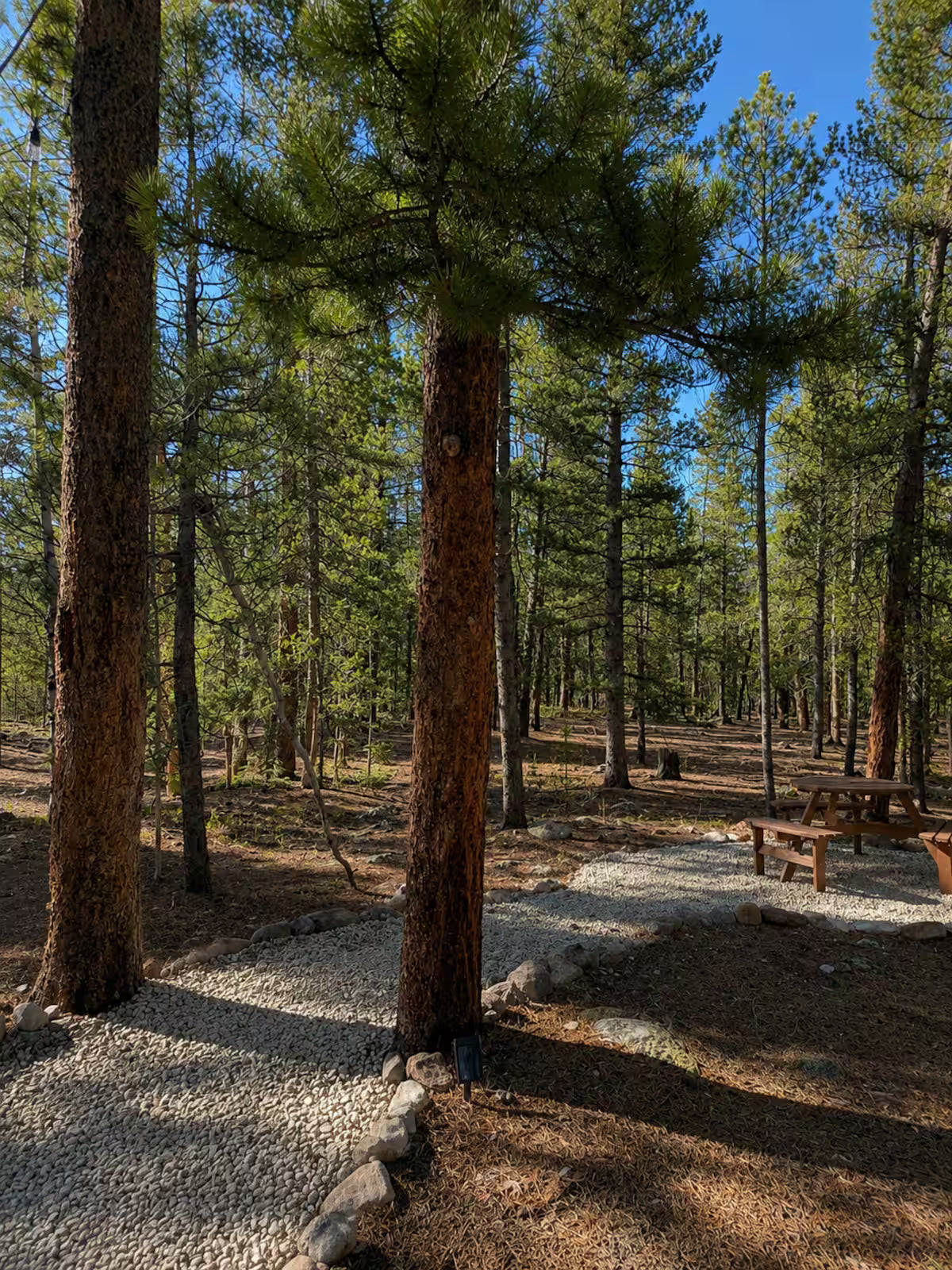 The Woodland Reconnect Cabin